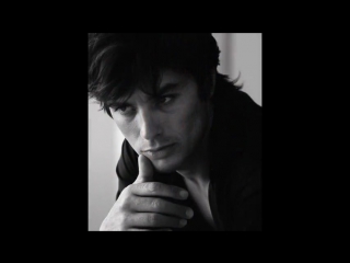 alain delon - a french icon and the perfect lover